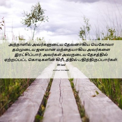 Picture 06 - சகரியா 9:16 TAMIRV - அந்நாளில் - Bible Verse Picture
