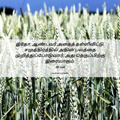 Picture 06 - சகரியா 9:4 TAMIRV - இதோ, ஆண்டவர் அதைத் - Bible Verse Picture