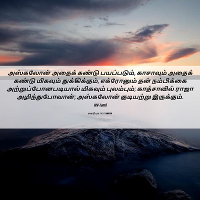 Picture 06 - சகரியா 9:5 TAMIRV - அஸ்கலோன் அதைக் - Bible Verse Picture