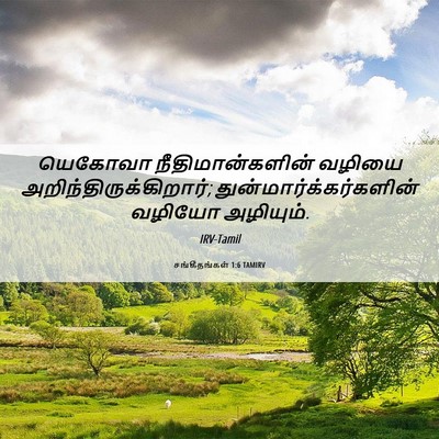 Picture 06 - சங்கீதங்கள் 1:6 TAMIRV - யெகோவா - Bible Verse Picture