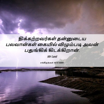 Picture 06 - சங்கீதங்கள் 10:10 TAMIRV - திக்கற்றவர்கள் - Bible Verse Picture