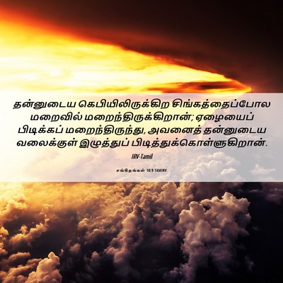 Picture 06 - சங்கீதங்கள் 10:9 TAMIRV - தன்னுடைய - Bible Verse Picture
