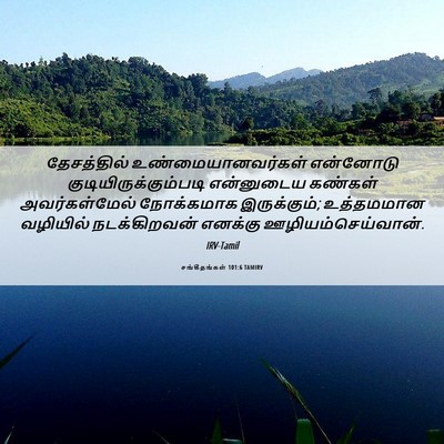 Picture 06 - சங்கீதங்கள் 101:6 TAMIRV - தேசத்தில் - Bible Verse Picture