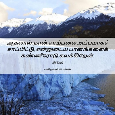Picture 06 - சங்கீதங்கள் 102:10 TAMIRV - ஆதலால், நான் - Bible Verse Picture