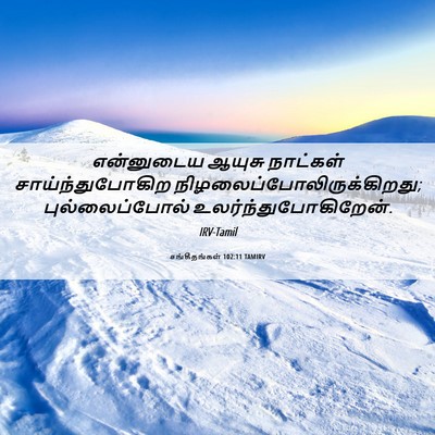 Picture 06 - சங்கீதங்கள் 102:11 TAMIRV - என்னுடைய ஆயுசு - Bible Verse Picture