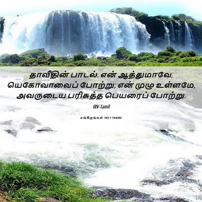 Picture 06 - சங்கீதங்கள் 103:1 TAMIRV - தாவீதின் பாடல். - Bible Verse Picture