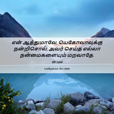 Picture 06 - சங்கீதங்கள் 103:2 TAMIRV - என் ஆத்துமாவே, - Bible Verse Picture