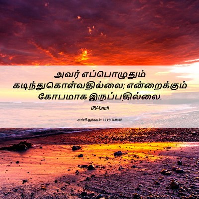 Picture 06 - சங்கீதங்கள் 103:9 TAMIRV - அவர் எப்பொழுதும் - Bible Verse Picture