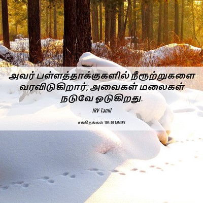 Picture 06 - சங்கீதங்கள் 104:10 TAMIRV - அவர் - Bible Verse Picture
