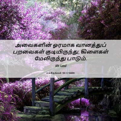 Picture 06 - சங்கீதங்கள் 104:12 TAMIRV - அவைகளின் ஓரமாக - Bible Verse Picture