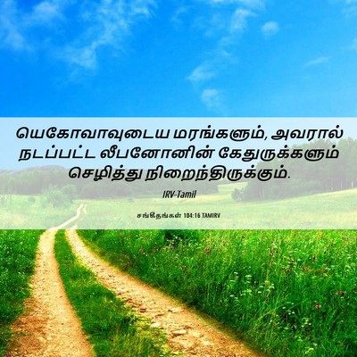 Picture 06 - சங்கீதங்கள் 104:16 TAMIRV - யெகோவாவுடைய - Bible Verse Picture