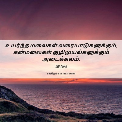 Picture 06 - சங்கீதங்கள் 104:18 TAMIRV - உயர்ந்த மலைகள் - Bible Verse Picture