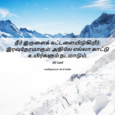 Picture 06 - சங்கீதங்கள் 104:20 TAMIRV - நீர் இருளைக் - Bible Verse Picture