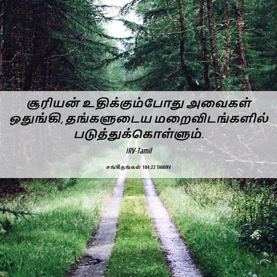 Picture 06 - சங்கீதங்கள் 104:22 TAMIRV - சூரியன் - Bible Verse Picture