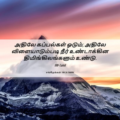 Picture 06 - சங்கீதங்கள் 104:26 TAMIRV - அதிலே கப்பல்கள் - Bible Verse Picture