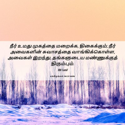 Picture 06 - சங்கீதங்கள் 104:29 TAMIRV - நீர் உமது முகத்தை - Bible Verse Picture
