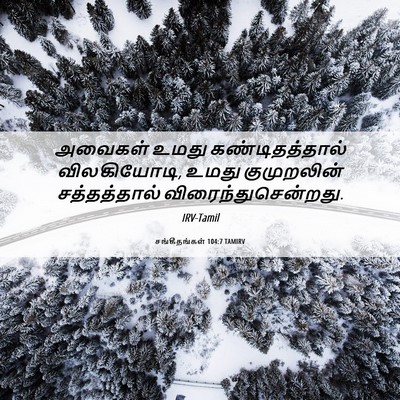 Picture 06 - சங்கீதங்கள் 104:7 TAMIRV - அவைகள் உமது - Bible Verse Picture