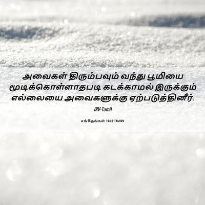 Picture 06 - சங்கீதங்கள் 104:9 TAMIRV - அவைகள் - Bible Verse Picture