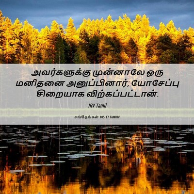 Picture 06 - சங்கீதங்கள் 105:17 TAMIRV - அவர்களுக்கு - Bible Verse Picture