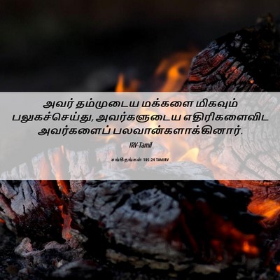 Picture 06 - சங்கீதங்கள் 105:24 TAMIRV - அவர் தம்முடைய - Bible Verse Picture