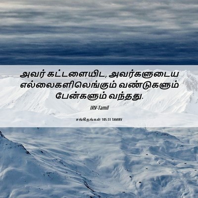 Picture 06 - சங்கீதங்கள் 105:31 TAMIRV - அவர் கட்டளையிட, - Bible Verse Picture