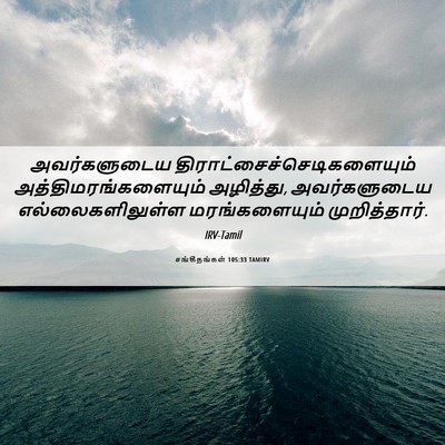 Picture 06 - சங்கீதங்கள் 105:33 TAMIRV - அவர்களுடைய - Bible Verse Picture