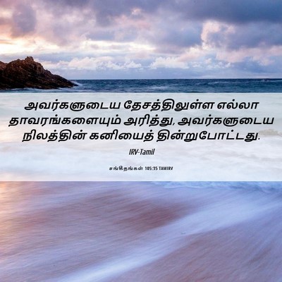 Picture 06 - சங்கீதங்கள் 105:35 TAMIRV - அவர்களுடைய - Bible Verse Picture