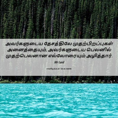 Picture 06 - சங்கீதங்கள் 105:36 TAMIRV - அவர்களுடைய - Bible Verse Picture