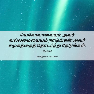 Picture 06 - சங்கீதங்கள் 105:4 TAMIRV - யெகோவாவையும் அவர் - Bible Verse Picture