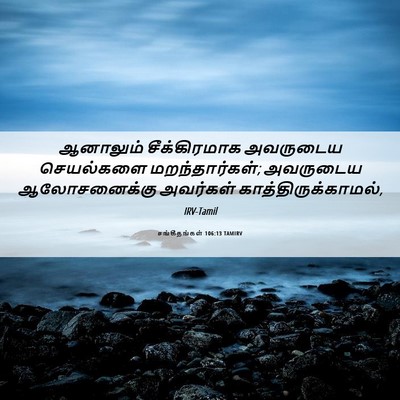 Picture 06 - சங்கீதங்கள் 106:13 TAMIRV - ஆனாலும் - Bible Verse Picture