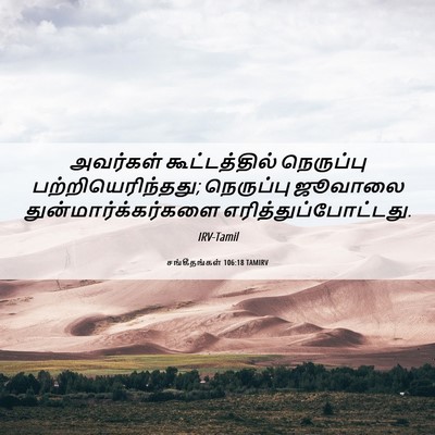Picture 06 - சங்கீதங்கள் 106:18 TAMIRV - அவர்கள் - Bible Verse Picture