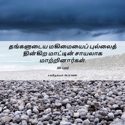 Picture 06 - சங்கீதங்கள் 106:20 TAMIRV - தங்களுடைய - Bible Verse Picture
