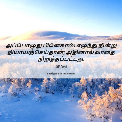 Picture 06 - சங்கீதங்கள் 106:30 TAMIRV - அப்பொழுது - Bible Verse Picture