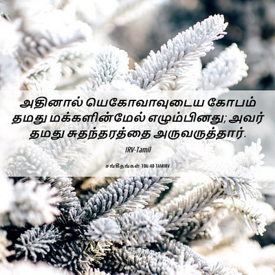 Picture 06 - சங்கீதங்கள் 106:40 TAMIRV - அதினால் - Bible Verse Picture