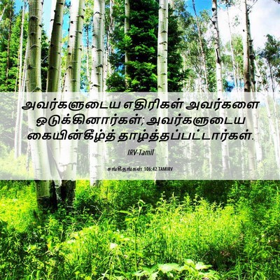 Picture 06 - சங்கீதங்கள் 106:42 TAMIRV - அவர்களுடைய - Bible Verse Picture