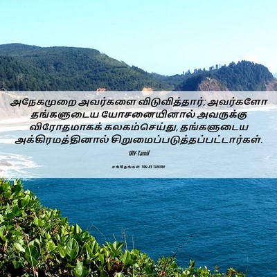 Picture 06 - சங்கீதங்கள் 106:43 TAMIRV - அநேகமுறை அவர்களை - Bible Verse Picture