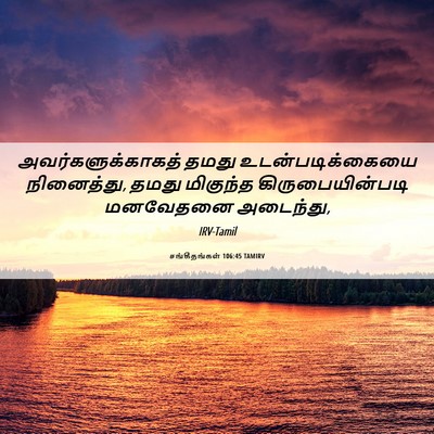 Picture 06 - சங்கீதங்கள் 106:45 TAMIRV - அவர்களுக்காகத் - Bible Verse Picture
