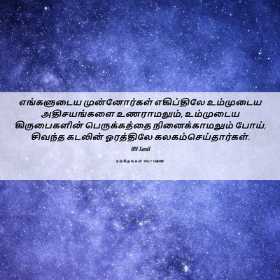 Picture 06 - சங்கீதங்கள் 106:7 TAMIRV - எங்களுடைய - Bible Verse Picture