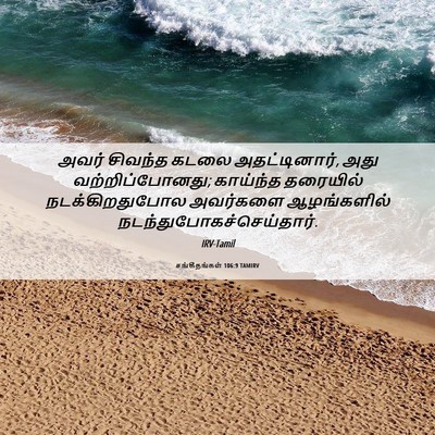 Picture 06 - சங்கீதங்கள் 106:9 TAMIRV - அவர் சிவந்த கடலை - Bible Verse Picture