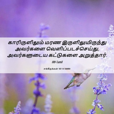 Picture 06 - சங்கீதங்கள் 107:14 TAMIRV - காரிருளிலும் மரண - Bible Verse Picture
