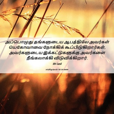 Picture 06 - சங்கீதங்கள் 107:28 TAMIRV - அப்பொழுது - Bible Verse Picture