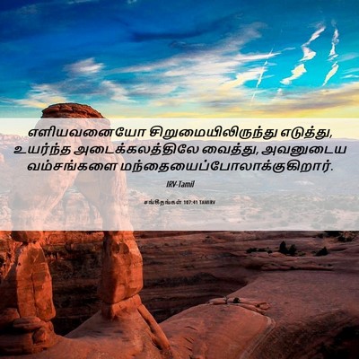 Picture 06 - சங்கீதங்கள் 107:41 TAMIRV - எளியவனையோ - Bible Verse Picture