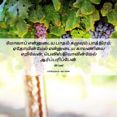 Picture 06 - சங்கீதங்கள் 108:9 TAMIRV - மோவாப் என்னுடைய - Bible Verse Picture