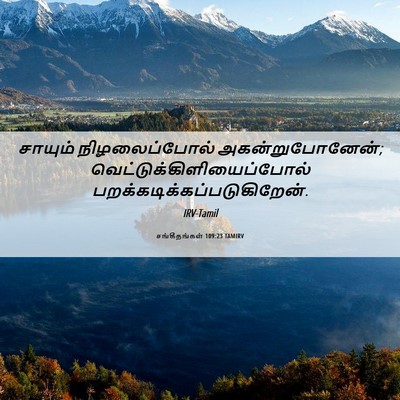 Picture 06 - சங்கீதங்கள் 109:23 TAMIRV - சாயும் - Bible Verse Picture