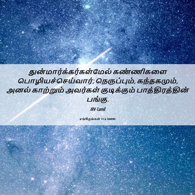 Picture 06 - சங்கீதங்கள் 11:6 TAMIRV -  - Bible Verse Picture