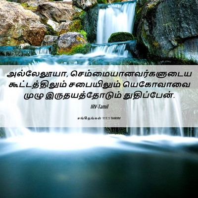 Picture 06 - சங்கீதங்கள் 111:1 TAMIRV - அல்லேலூயா, - Bible Verse Picture