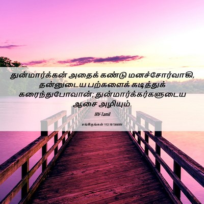 Picture 06 - சங்கீதங்கள் 112:10 TAMIRV - துன்மார்க்கன் - Bible Verse Picture