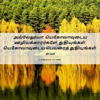 Picture 06 - சங்கீதங்கள் 113:1 TAMIRV - அல்லேலூயா, - Bible Verse Picture