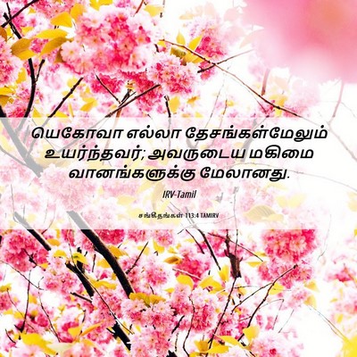 Picture 06 - சங்கீதங்கள் 113:4 TAMIRV - யெகோவா எல்லா - Bible Verse Picture