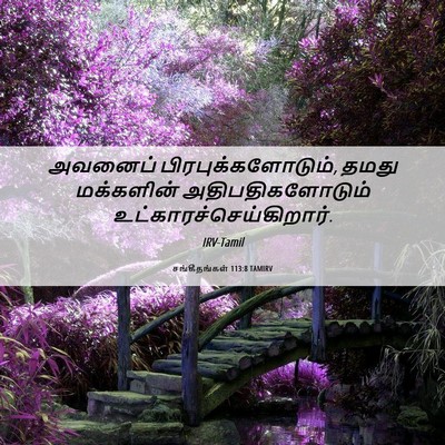 Picture 06 - சங்கீதங்கள் 113:8 TAMIRV - அவனைப் - Bible Verse Picture